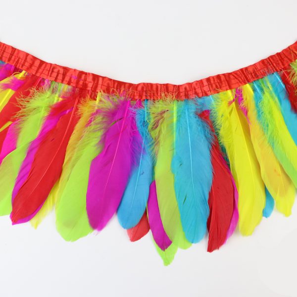 Rainbow Natural Goose Feather Trim Fringe