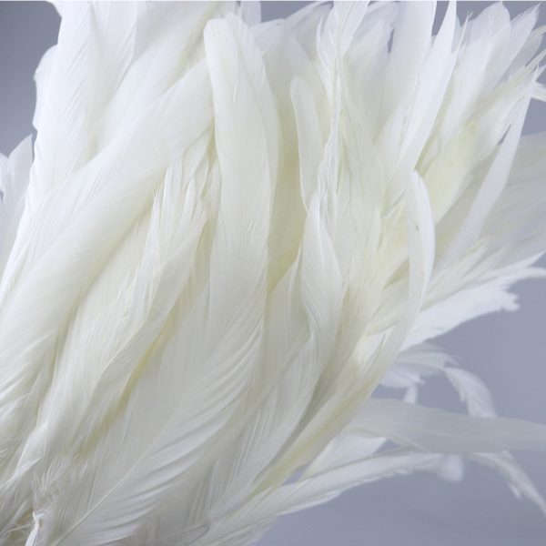 30-35cm White Rooster Tail Feathers Trim